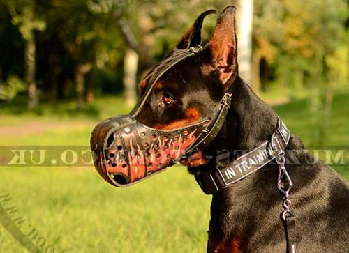 Doberman Muzzle for Agitation UK | Leather Dog Muzzle for K9 Dog - Click Image to Close